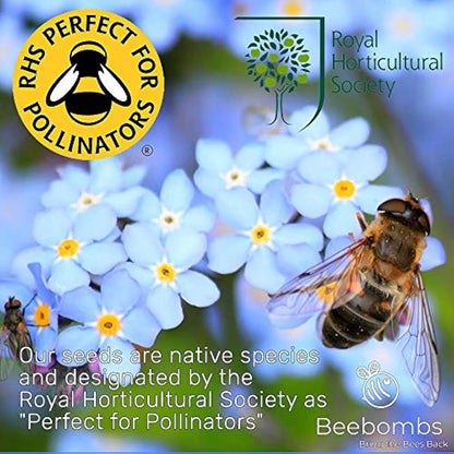 Official Beebombs Wild Flower Seeds UK Native Mix - Handmade in Dorset Wildflower Meadow Seed Balls, Bee Gifts, Gift for Gardener, 21sqft Coverage