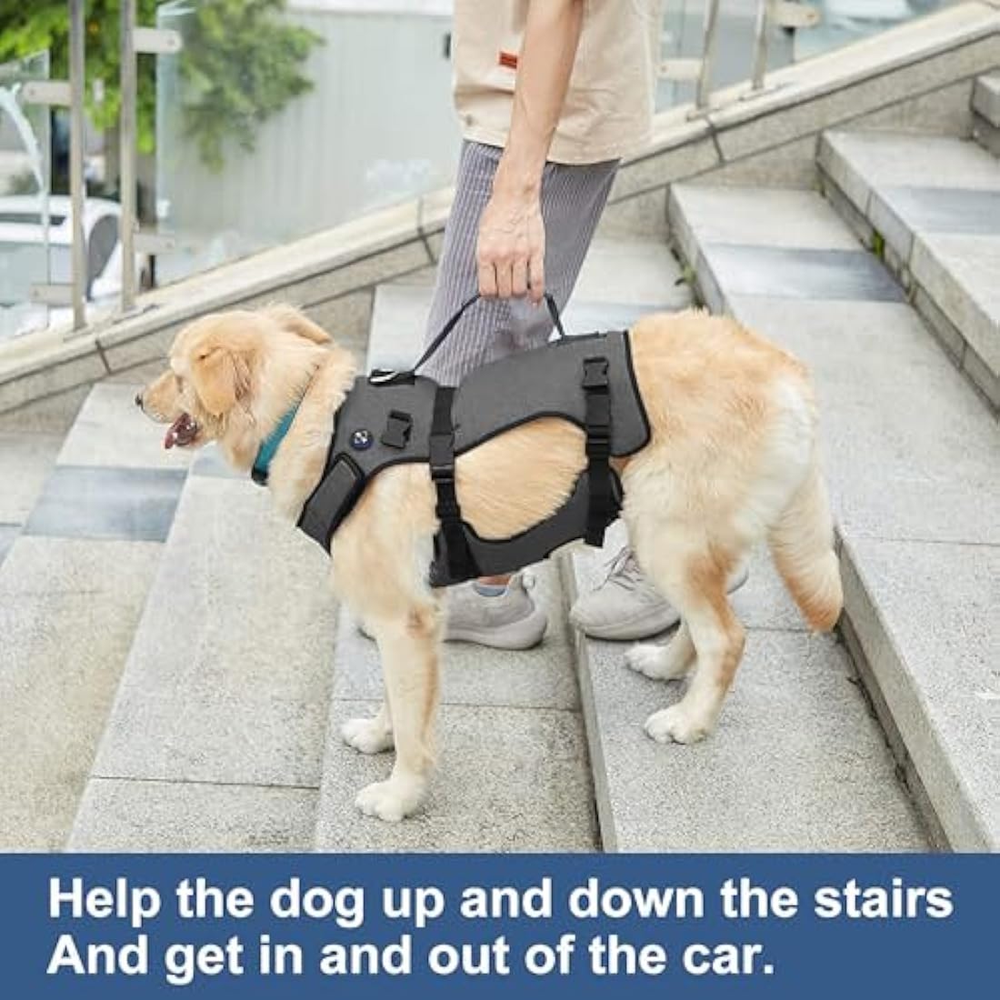 Coodeo Dog Lift Harness, Support & Recovery Sling, Pet Rehabilitation Lifts Vest Adjustable Breathable Straps for Old, Disabled, Joint Injuries, Arthritis, Paralysis Dogs Walk (Grey,2XLarge)