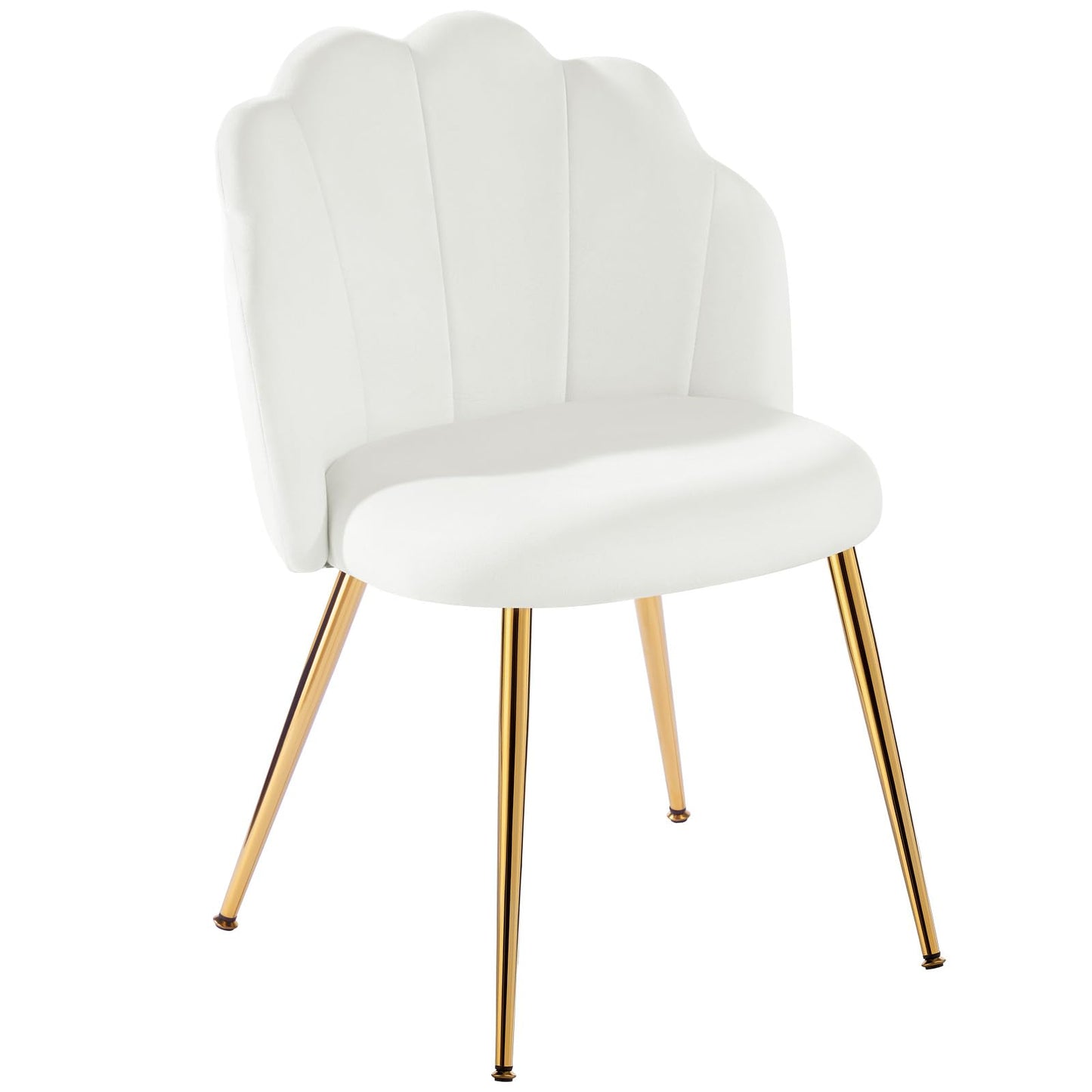 Eufurnibi Velvet Shell Chair with Gold Legs, Vanity Chair for Bedroom Dressing Table, White Upholstered Accent Chair for Living Room
