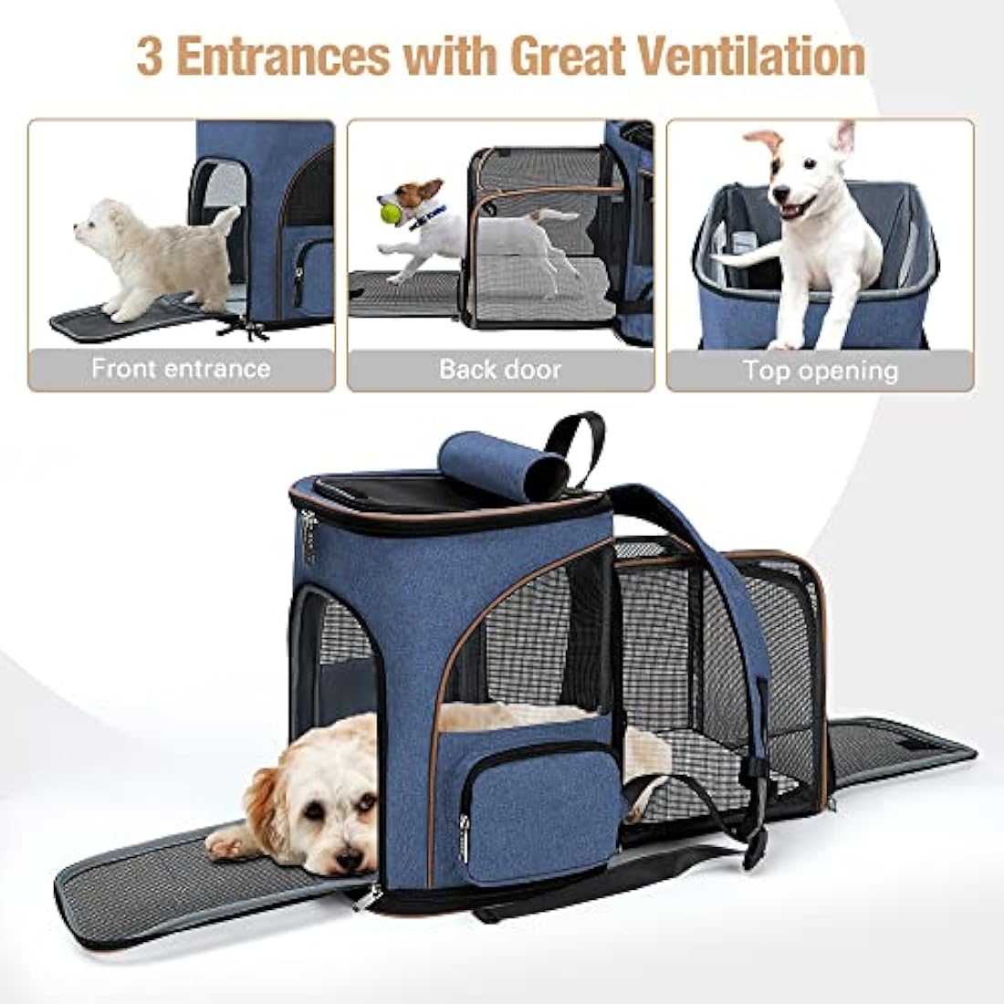 Lekesky Expandable Cat Carrier Backpack - Portable Breathable Rucksack for Medium and Small Cats & Dogs, Foldable with Inner Escape-proof Leash and Pet Mat, Supports 25 lbs (Blue)