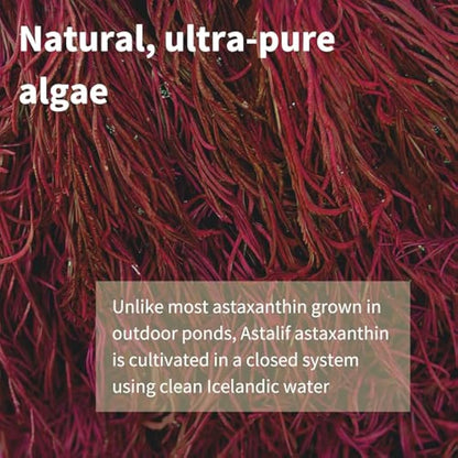 Astaxanthin Complex, 42mg Microalgae Complex Oil Providing 4mg H. Pluvialis Astaxanthin, 90 Vegan Softgels, by Igennus