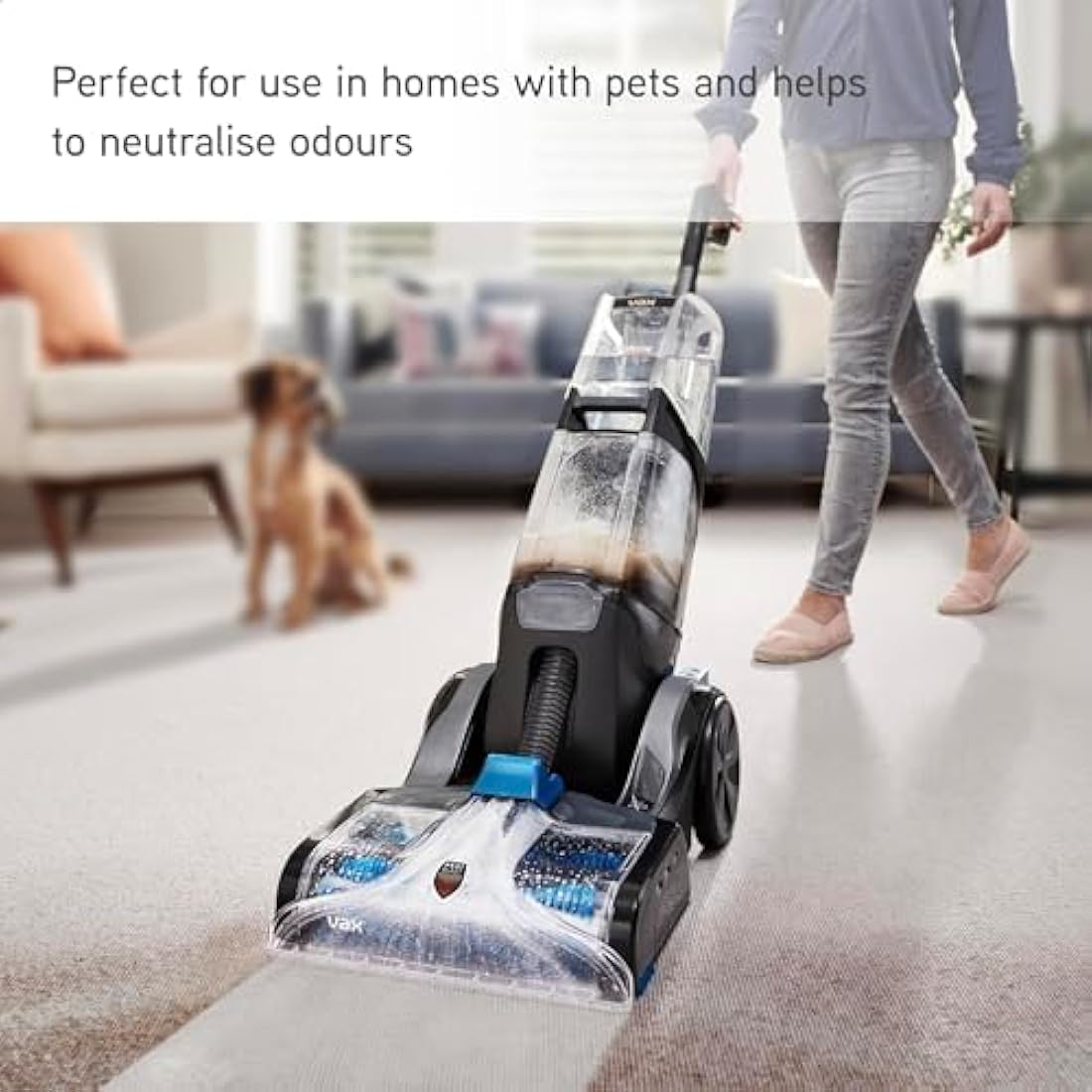 Vax Platinum Antibacterial 4L Carpet Cleaner Solution, Stain Remover Shampoo, Citrus & Blossom Scent, Removes 99.99% of bacteria, Neutralises Pet Odours, 1-9-142405, Blue