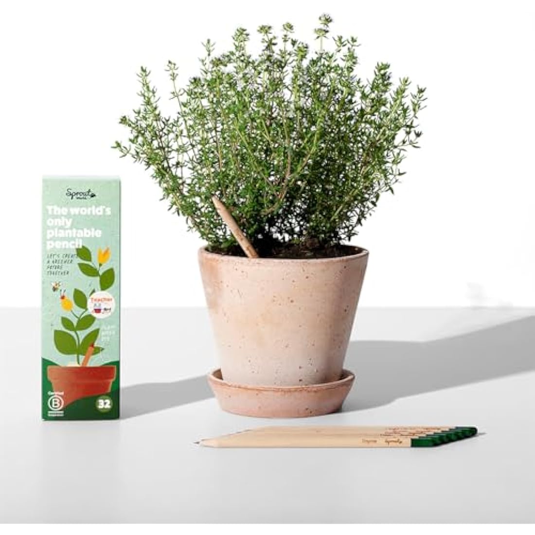 SproutWorld Wood-Cased Pencils | Teacher's Edition | #2 HB Pre-Sharpened Graphite Plantable Wooden Pencils with flower, Herb & Vegetable Seeds | Gift Engraved with Inspirational Quotes | 32 Pack