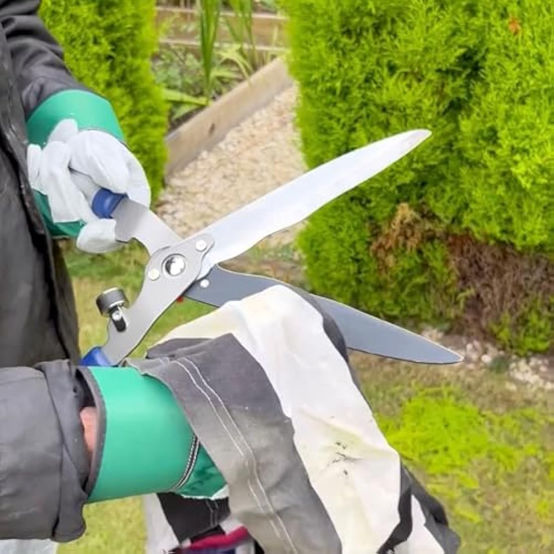 Spear & Jackson 8120RS Razorsharp Telescopic Hedge Shears, Blue