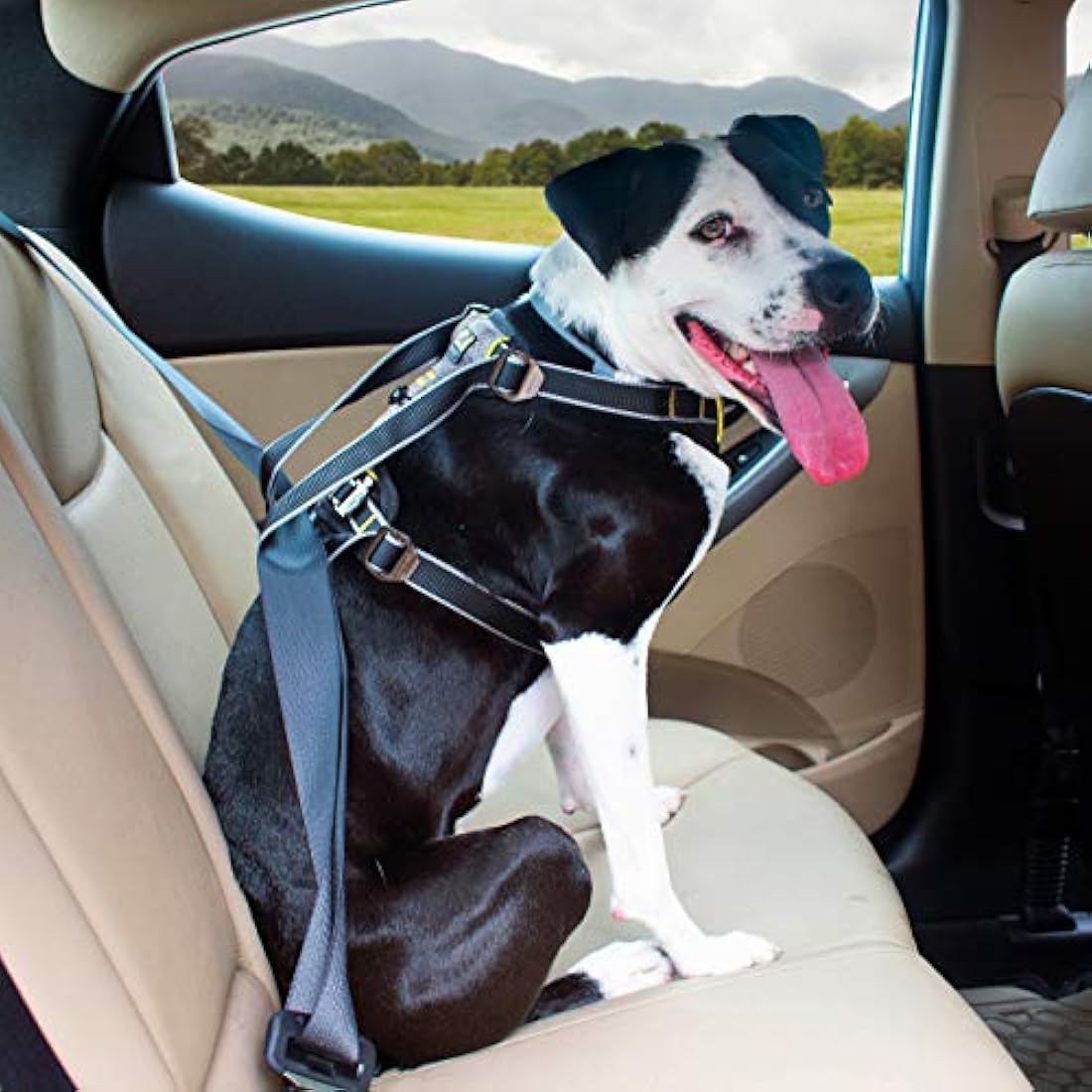 Kurgo Impact Dog Car Harness, Crash Tested, Integrates with Car Seatbelt System, Lightweight, Extra Large-Black/Charcoal Grey