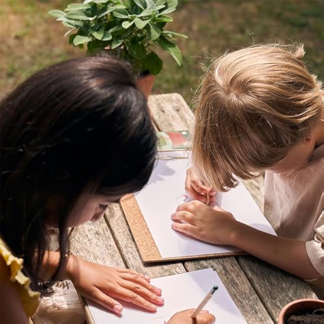 SproutWorld Wood-Cased Pencils | Teacher's Edition | #2 HB Pre-Sharpened Graphite Plantable Wooden Pencils with flower, Herb & Vegetable Seeds | Gift Engraved with Inspirational Quotes | 32 Pack