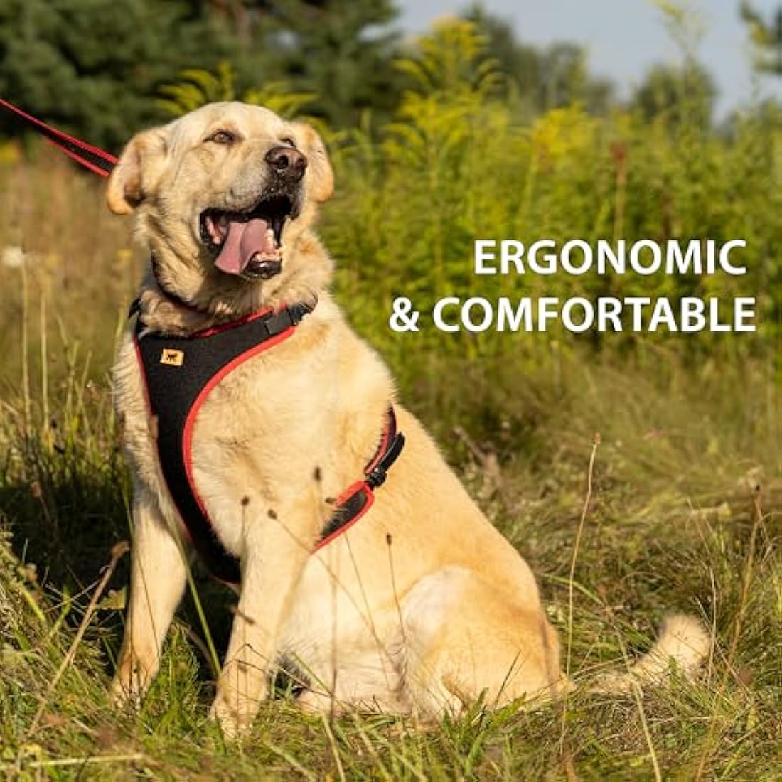 Ferplast Medium Size Dog Harness ERGOCOMFORT MEDIUM, Adjustable Dog Harness, Comfortable, Padded, Double Micro-adjustment Closure, Quick Release, Red