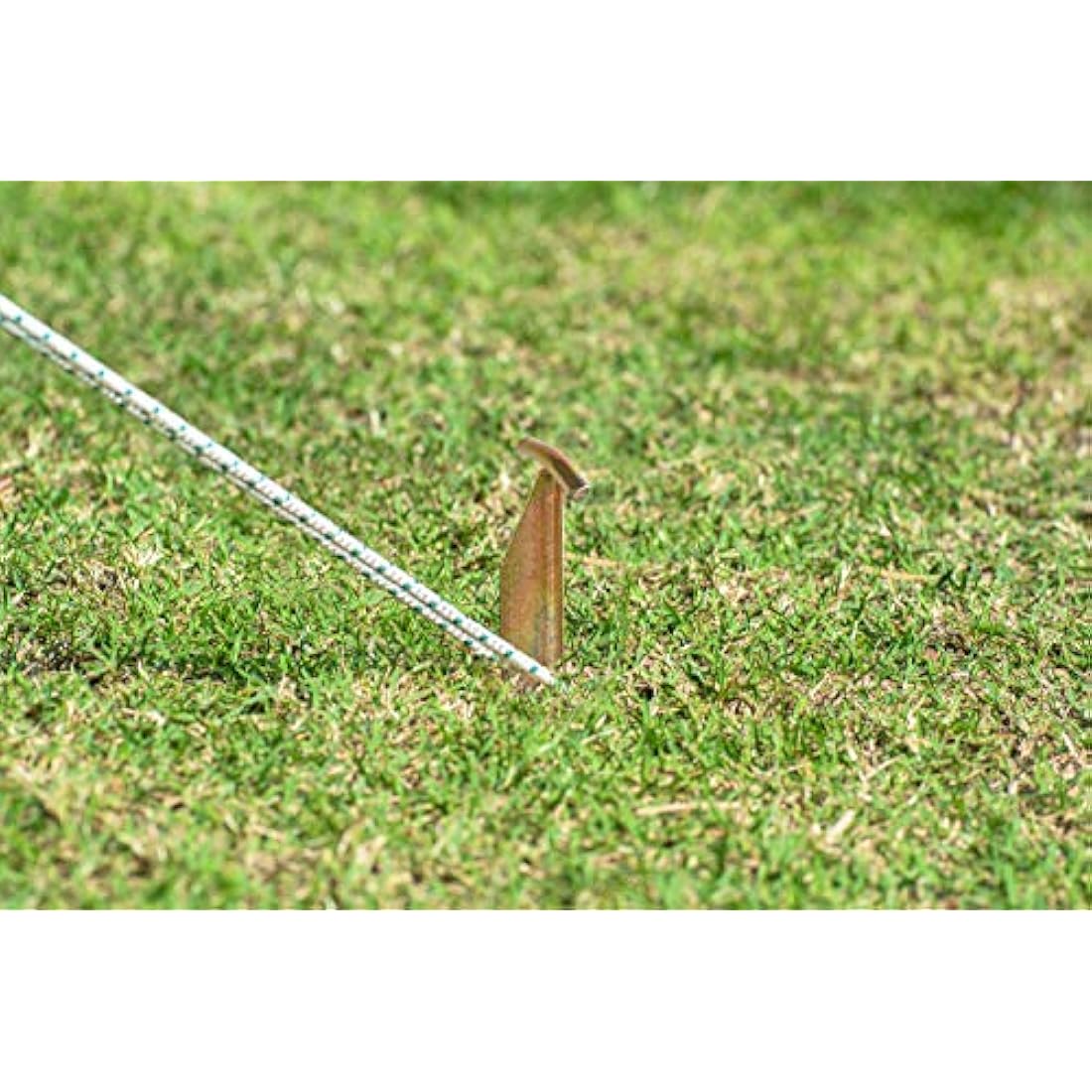 Balinco 12x tent pegs - length: 30 cm, width: 2.5 cm - T-profile | pegs | ground pegs | ground anchor made of galvanised steel for fastening & fixing (12)