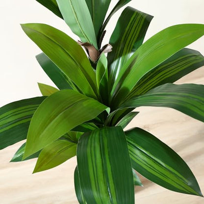 Kazeila Artificial Dracaena Plant 150cm Fake Tall Tree with White Planter,Faux Dragon Tree Plant Indoor Floor Porch Home Decor Office Living Room,1Pcs