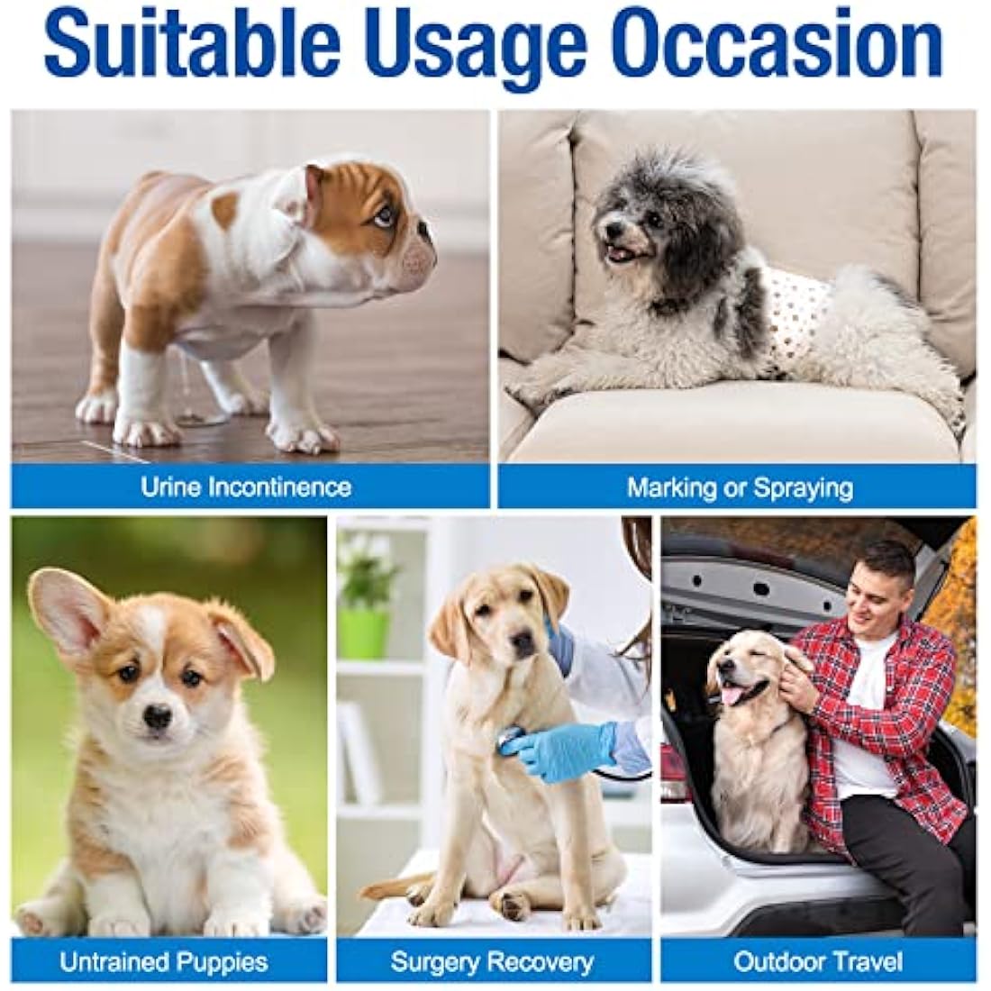 Pet Soft Dog Nappies Male- 20 Counts Disposable Male Dog Wraps, Super Absorbent Puppy Dog Diapers Incontinence Nappy Wraps with Wetness Indicator (M-20 Count)