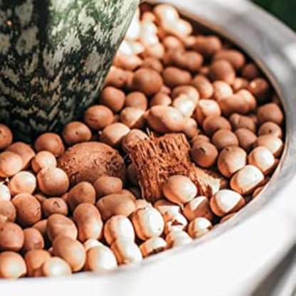 BHomeScent Clay Pebbles for hydroponics (1L)