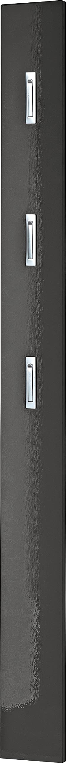 Germania wardrobe panel 3255-547, with THREE fold-out metal clothes hooks, in high-gloss anthracite, 15 x 170 x 3 cm (WxHxD)