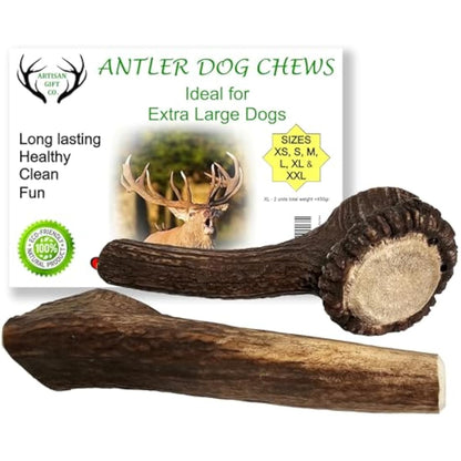 ARTISAN GIFT CO Naturally Shed 100% Natural Premium Deer Antler Chew for Dogs (XL - 2 Units)