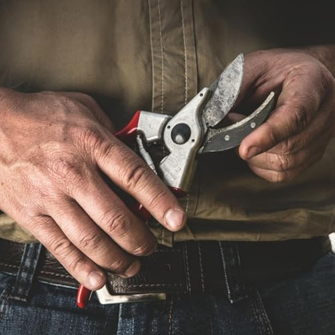 FELCO 2 Pruning Secateurs – 25 mm Cutting Diameter, for Large Hands, 215 mm Length, with Sap Groove, Straight Handles, Red