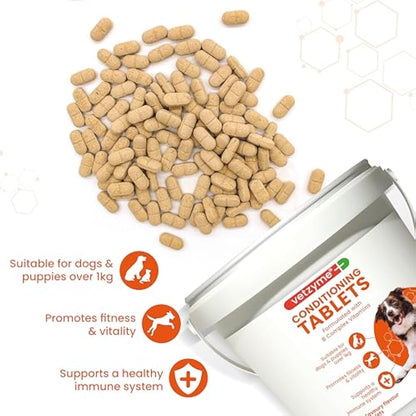 Vetzyme Conditioning Tablets for Dogs (3000 Tablets) - With B Complex Vitamins to Promote Fitness and Support a Healthy Immune System