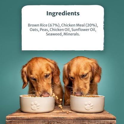 Burns Pet Nutrition Hypoallergenic Complete Dry Dog Food Adult and Senior Dog Original Chicken and Brown Rice 12 kg