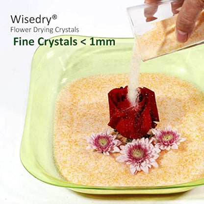 wisedry 10 LBS Silica Gel Flower Drying Crystals, 2 Packs of 5 LBS, Color Indicating, Reusable