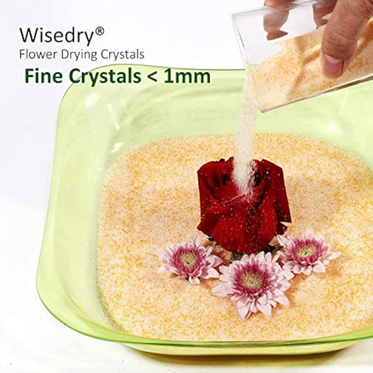 wisedry 10 LBS Silica Gel Flower Drying Crystals, 2 Packs of 5 LBS, Color Indicating, Reusable