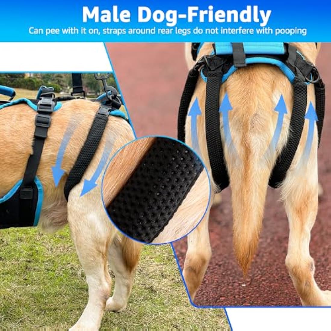 Lafoty Dog Lift Harness for Large Male Dogs, 2-in-1 Help Em Up Harness, Back Leg Support & Mobility Assistance for Senior Dogs, Post-Surgery Recovery Sling(Black, Large)