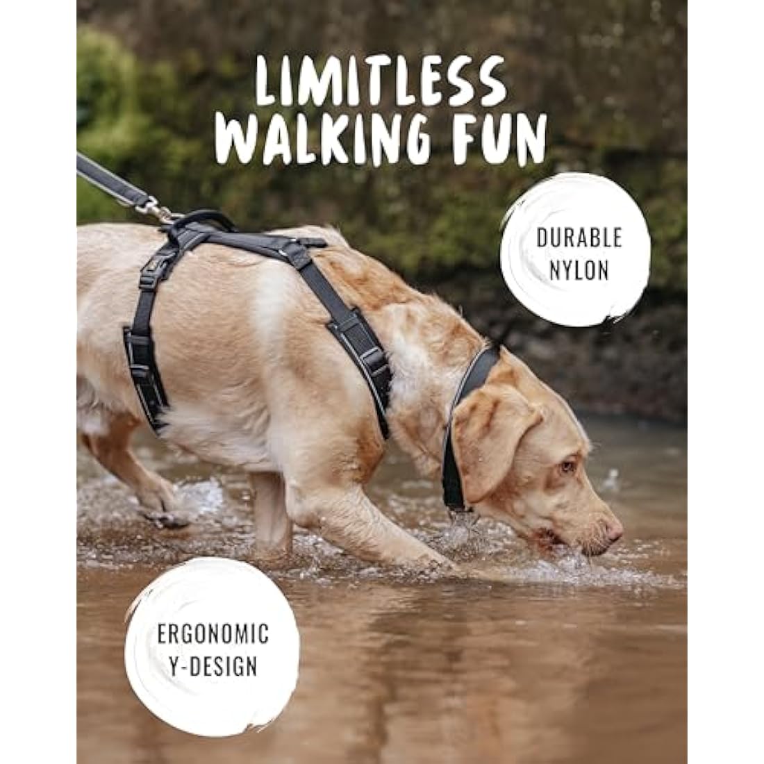 Rudelkönig dog harness Paola - Reflective Chest Harness with Handle - Adjustable no pull harness for dogs - For small and medium dogs