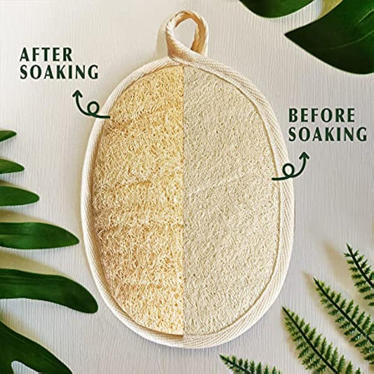 Natural Loofah Sponge Exfoliating Body Scrubber (3 Pack),Made with Eco-Friendly and Biodegradable Shower Luffa Sponge, Loofah for Women and Men, Beige…