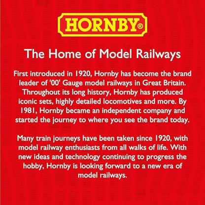 Titles Hornby R8224 OO Gauge Track Extension Pack D - Extra Track Pieces for Model Railway Sets, Model Train Track Pieces, Includes - Curves, LH Point, Buffer Stop & Double Level Crossing - Scale 1:76