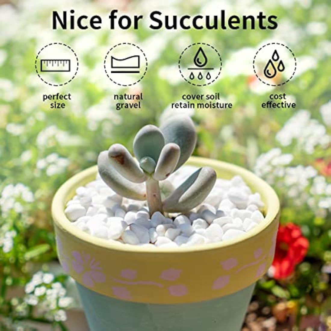 FANTIAN 2lbs Natural White Gravel Pebbles for Garden, 6-9 mm White Stones for Garden Fish Tank Gravel Aquarium Succulent Cactus Vase Landscaping and Outdoor Decorative Stones