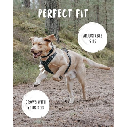 Rudelkönig dog harness Paola - Reflective Chest Harness with Handle - Adjustable medium no pull harness for dogs - For medium dogs