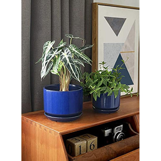 LE TAUCI Plant Pots, 11+13+17 cm Ceramic Planters, Set of 3 Flower Pots with Drainage Hole and Saucer, Indoor Plant Pot with Hole Mesh Pad, Gifts for Mom, Sapphire Blue