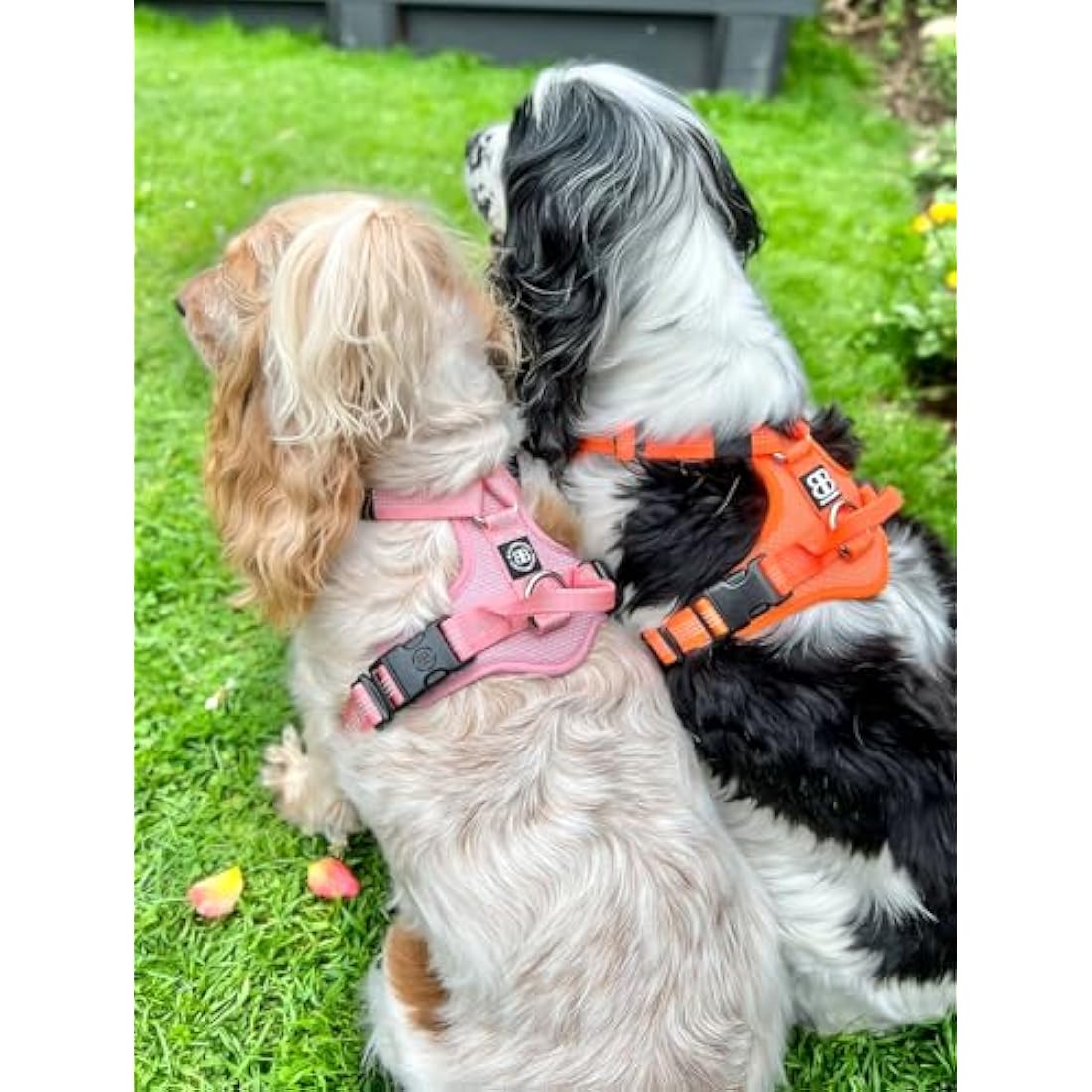 BullyBillows Active Light Dog Harness With Handle - Premium Padded Lining & Reflective - Grey Small
