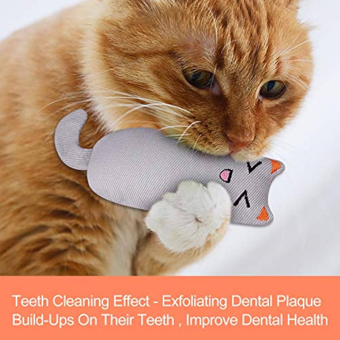 Bojafa Cat Catnip Toys for Indoor Cats: 3-Pack Soft Plush Kitten Toys for Scratching/Playing/Chewing/Teething Indoor