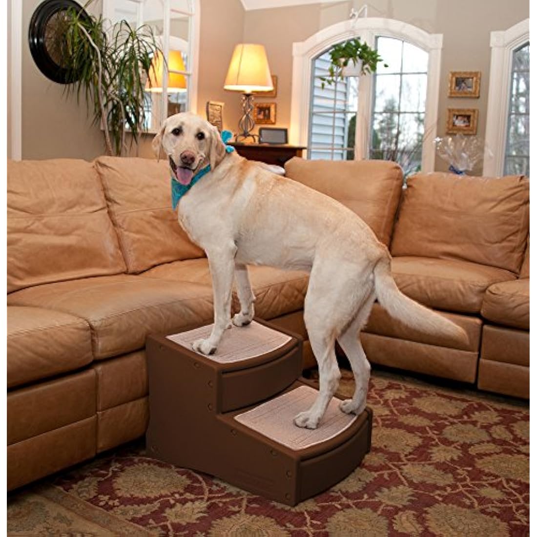 Pet Gear Easy Steps II Extra Wide, Small, Chocolate Brown