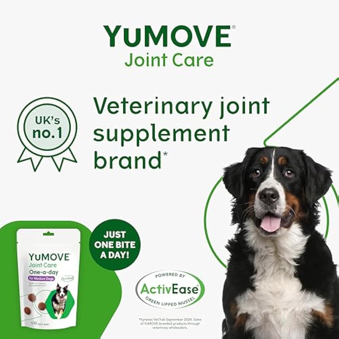 YuMOVE Joint Supplement for Dogs, ONE-A-DAY for Joint Care, Essential Dog Hip and Joint Aid for Stiff Medium Dogs with Glucosamine, Chondroitin, Green Lipped Mussel, 30 Chews - 1 Month supply
