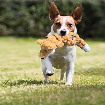 KONG - Scrunch Knots Raccoon - Internal Knotted Ropes and Minimal Stuffing for Less Mess - For Small/Medium Dogs
