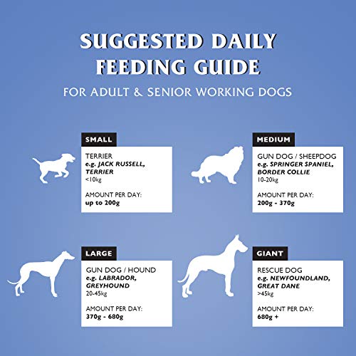 Dr John Silver Dry Dog Food 15kg - Chicken with Vegetables - Complete Dog Biscuits 15kg - Senior and Adult Dog Food for Light Activity, Maintenance and Resting Dogs