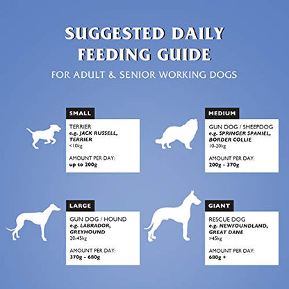 Dr John Silver Dry Dog Food 15kg - Chicken with Vegetables - Complete Dog Biscuits 15kg - Senior and Adult Dog Food for Light Activity, Maintenance and Resting Dogs