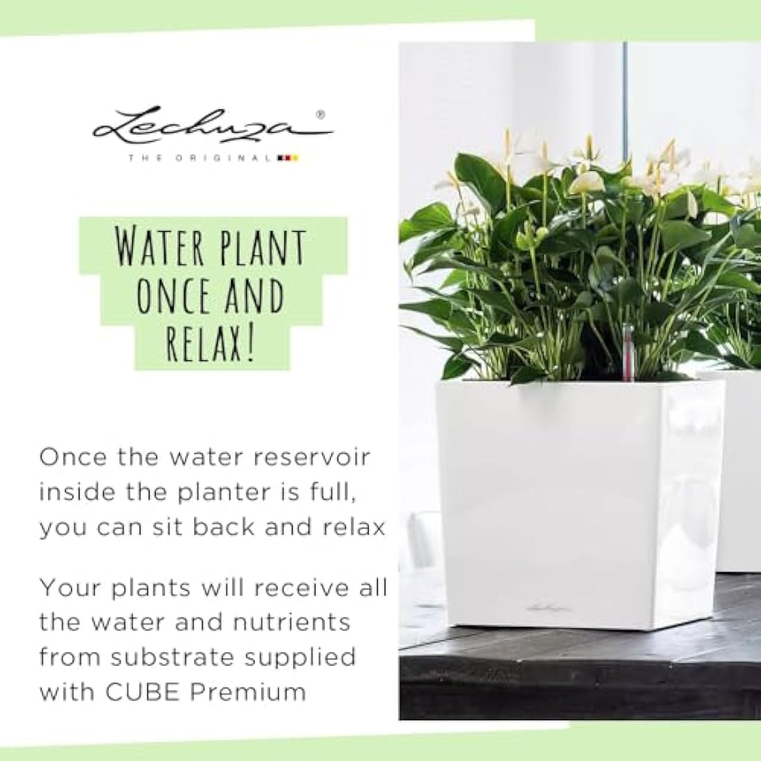 Lechuza Self Watering Plant Pot CUBE 40 Garden Flower Indoor and Outdoor Plastic Planter with Drainage Hole H40 L40 W40 cm White High-Gloss