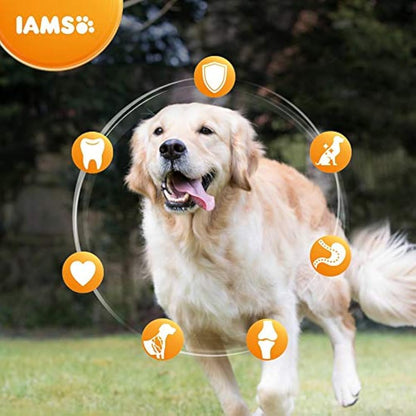 Iams For Vitality Senior Dog Dry Food With Fresh Chicken, 2kg