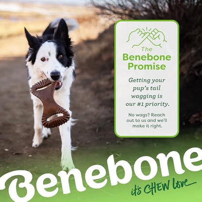 Benebone Indestructible Dental Dog Chew Toy for Aggressive Chewers, Long Lasting Tough Boredom Breaker for Dogs, Real Bacon Flavour, For Small Dogs, Made in the USA.