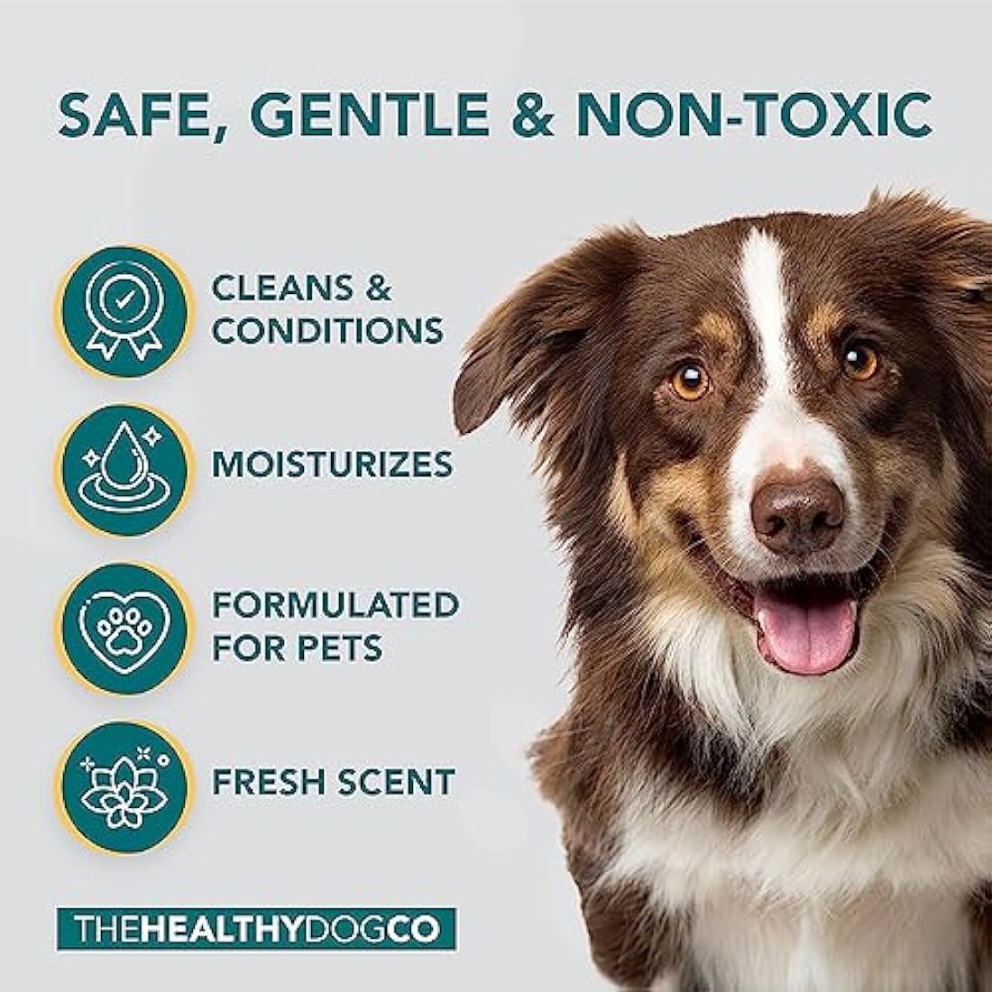 The Healthy Dog and Cat Co. – All Natural Flea Shampoo for Dogs & Cats – Gentle Wash with Quassia & Lemongrass – Safe, Vegan Formula for Itchy Skin – Dog & Cat Shampoo – Made in UK