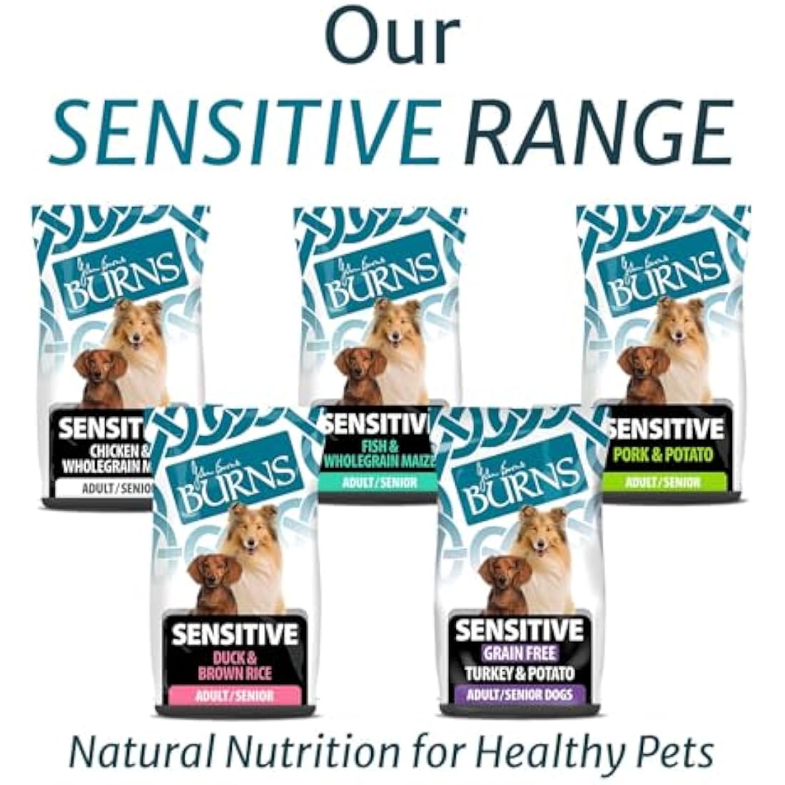 Burns Pet Nutrition Hypoallergenic Complete Dry Dog Food Adult and Senior Dog Sensitive with Chicken 6 kg