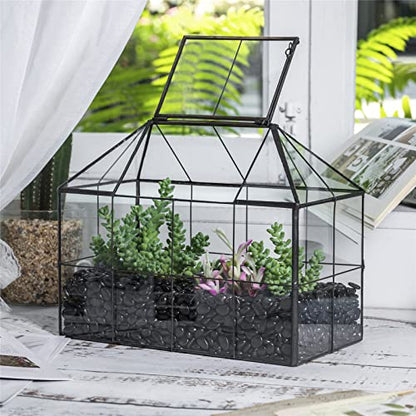 NCYP Geometric Glass Terrarium - 25x13.5x20 cm House Shape Terrarium Planter for Succulents, Cacti - Modern Home Indoor Tabletop Decor, Centerpiece,