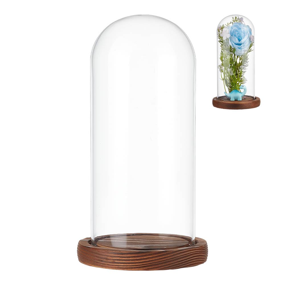 NBEADS Clear Glass Dome, Clear Glass Display Case with Camel Wood Base Decorative Display Dome Case for Plants Flower Display Photos Medals