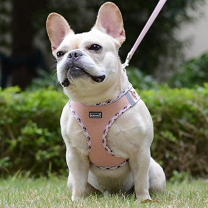 DORAMIO Step-in Dog Harness and Leash Set, Soft Mesh No-Chock Reflective Breathable Easy Walk Lightweight Vest Harnesses with Safety Buckle for Small Dogs, Cats, Puppies (Champagne, XXS)