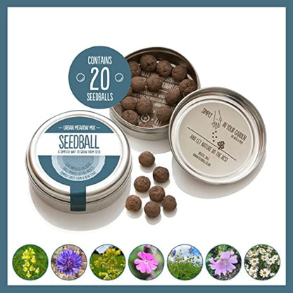 SEEDBALL Urban Meadow Mix Seed Bombs (Wild Flower Tin) – 20 Balls | British Wildflower Seeds - Seed Bomb for Bees, Butterflies, Birds & Garden Wildlife – A Colourful Mix of Annuals & Perennials
