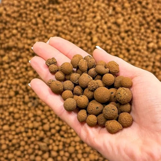 BHomeScent Clay Pebbles for hydroponics (1L)