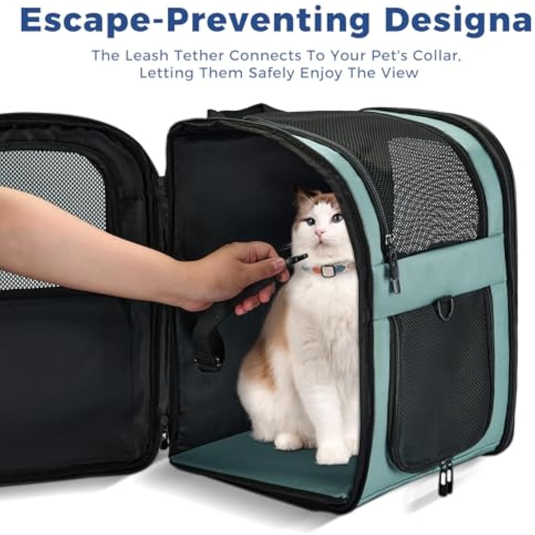 Apollo Walker Cat Carrier and Dog Carrier, for Large and Small Cat Pets (2-15 kg), Breathable Mesh Pet Carrier, Ideal for Hiking, Travel, and Outdoor Activities (Blue)