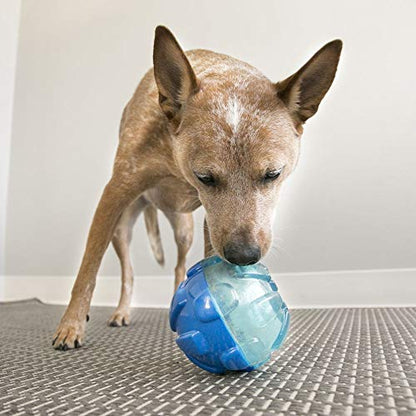 KONG - Rewards Ball - Ultra Durable Interactive Treat Dispensing Dog Toy - For Large Dogs