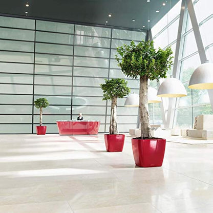 LECHUZA QUADRO Premium LS 50 scarlet red high gloss 16287
