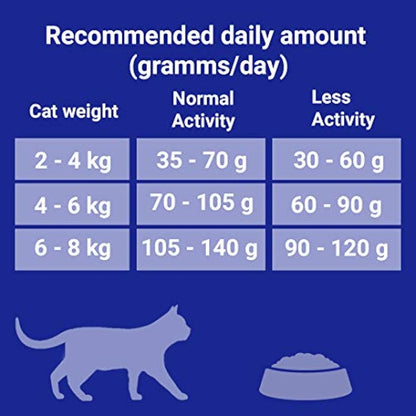 Purina ONE Indoor Dry Cat Food Turkey & Wholegrain 3kg
